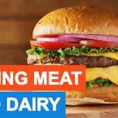 Meat and Dairy In The Bible – Boiling A Kid in Mothers Milk