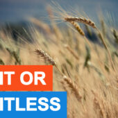 Fruit Or Fruitless? Interpreting The Parables Of The Bible
